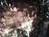 image of grave number 583744